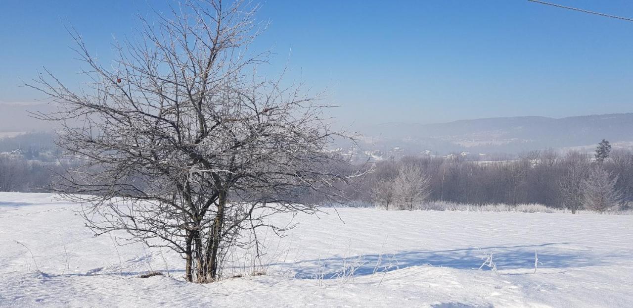 فيلا Dom Grabowa Z Sauna I Podgrzewanym Basenem Gilowice  المظهر الخارجي الصورة