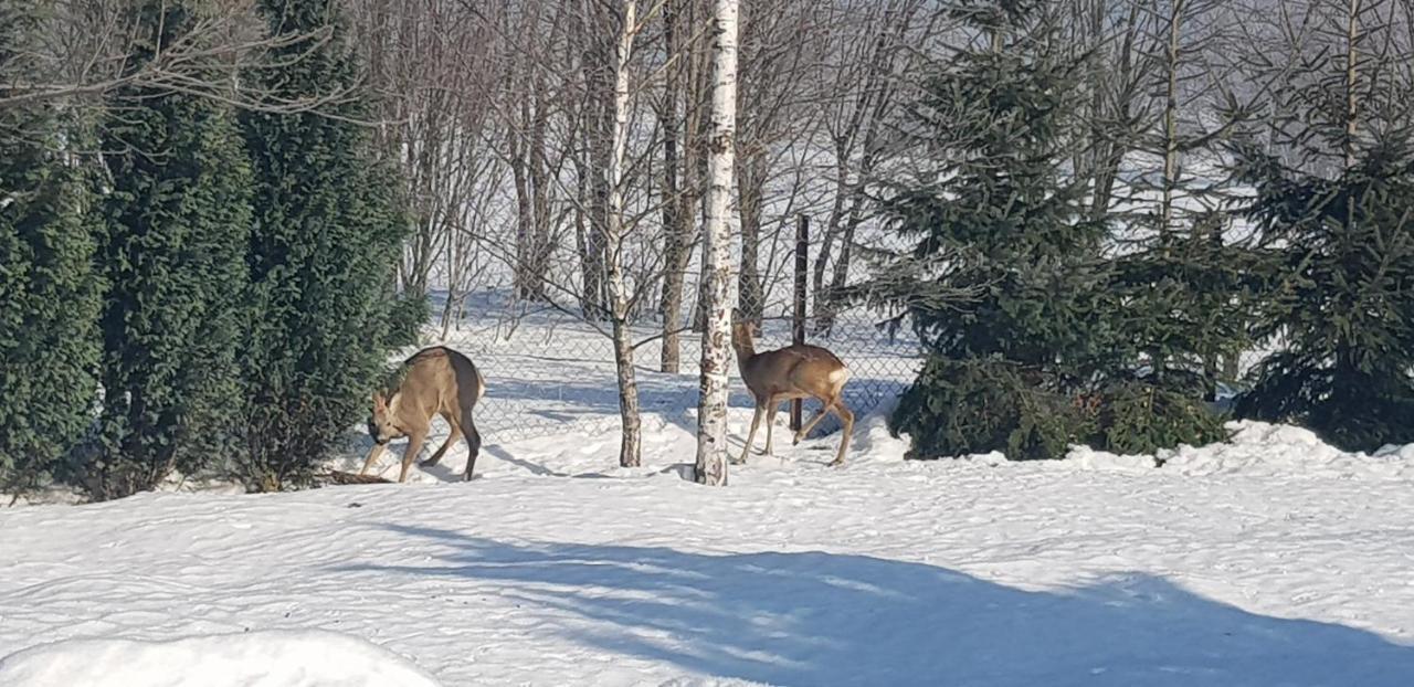 فيلا Dom Grabowa Z Sauna I Podgrzewanym Basenem Gilowice  المظهر الخارجي الصورة